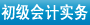 初級會(huì)計(jì)實(shí)務(wù)每日一練入口