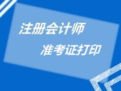 2015年注冊會(huì)計(jì)師準(zhǔn)考證打印