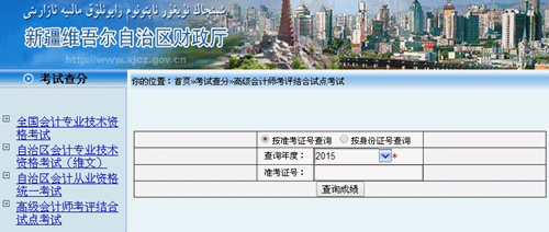 新疆2015高級(jí)會(huì)計(jì)師考試成績查詢?nèi)肟? width=
