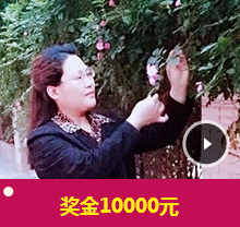 如何在三個月內通過稅務師考試 你用盡洪荒之力嗎？