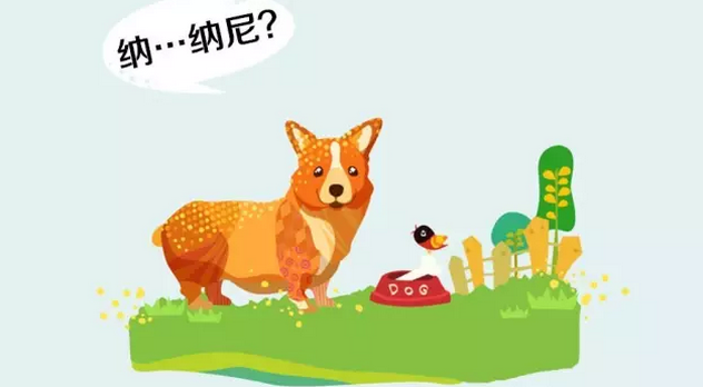 初級會計職稱報名成功了，會不會審核不通過？ 