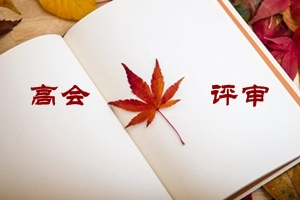 高級(jí)會(huì)計(jì)師申報(bào)評(píng)審需要考職稱英語(yǔ)和計(jì)算機(jī)嗎