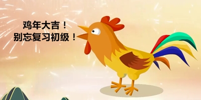 雞年大吉！復(fù)習(xí)初級會計職稱！