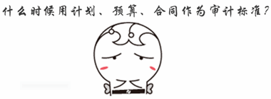 中級審計(jì)師《審計(jì)理論與實(shí)務(wù)》知識點(diǎn)問答：審計(jì)標(biāo)準(zhǔn)
