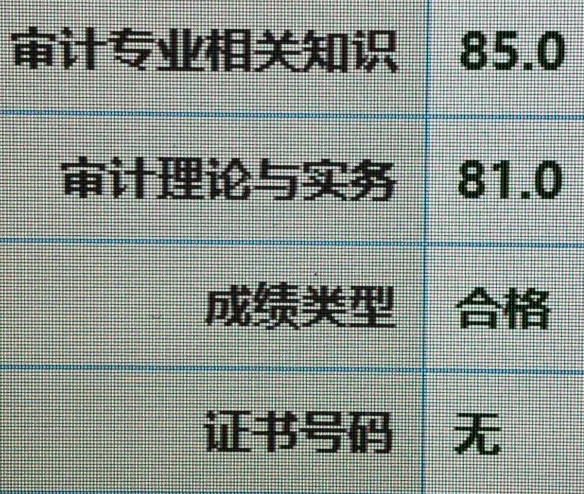 好樣的！零基礎頂住壓力高分拿下審計師