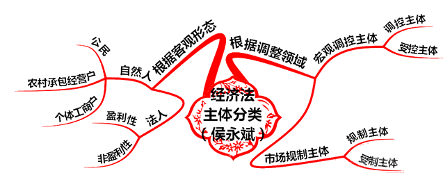經(jīng)濟(jì)法主體的分類(lèi)