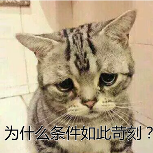 為什么中級(jí)會(huì)計(jì)職稱會(huì)有這么多報(bào)考條件限制？