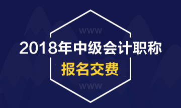 2018年中級會(huì)計(jì)職稱考試報(bào)名如何交費(fèi)