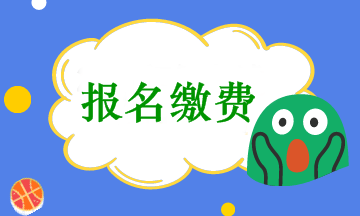 會(huì)計(jì)中級(jí)考試報(bào)名收費(fèi)是在網(wǎng)上繳費(fèi)嗎？