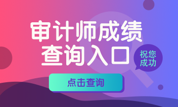 6、360x216    審計師