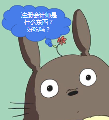 為什么說注冊會計(jì)師是一個(gè)高含金量的證書？快來了解一下注會