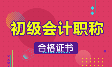 武漢2019會(huì)計(jì)初級(jí)職稱(chēng)取證審核需要什么資料？