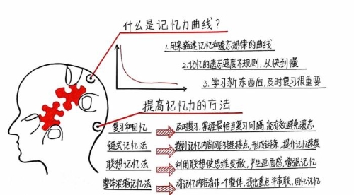“注會知識點學完就忘怎么辦？如何能提高記憶力？