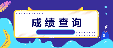 中級會(huì)計(jì)成績查詢