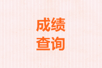 中級(jí)會(huì)計(jì)考試成績(jī)查詢(xún)?nèi)肟谝验_(kāi)通
