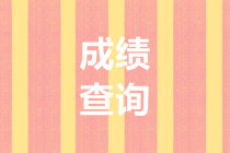 高級(jí)會(huì)計(jì)師考試成績(jī)查詢(xún)
