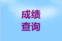 海南2020高級(jí)會(huì)計(jì)師成績(jī)查詢(xún)時(shí)間