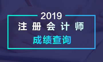 2019安徽蕪湖注會(huì)考試成績(jī)查詢?nèi)肟陂_通啦！