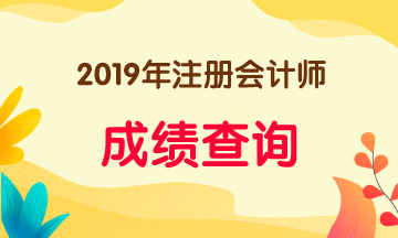 2019年湖南長沙注會(huì)考試成績查詢