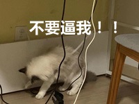 前方高能！距離2020年注會(huì)考試你的學(xué)習(xí)時(shí)間僅剩1個(gè)月？