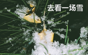 注會(huì)考生最牛X的幾個(gè)瞬間 句句戳中你的心！
