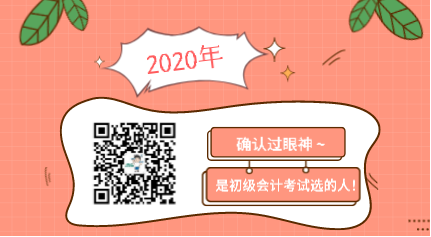 確認過眼神 是2020年初級會計考試選的人！