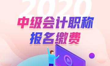 2020年安徽合肥中級(jí)會(huì)計(jì)職稱(chēng)報(bào)名流程及收費(fèi)標(biāo)準(zhǔn)