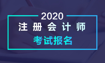 海南注冊會計師2020年考試時間在什么時候？