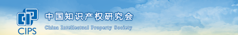 中國知識產(chǎn)權(quán)研究會
