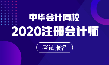 2020年注冊會計師承辦港澳臺地區(qū)居民及外國人報名機(jī)構(gòu)聯(lián)系方式有哪些？