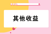 “其他收益”會計科目只核算政府補(bǔ)助？錯！錯！錯！