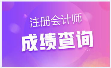 2020年黑龍江注冊會計師成績查詢時間來嘍！
