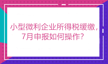 小型微利企業(yè)所得稅緩繳，7月申報如何操作？看這里！