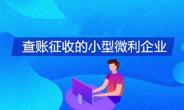 查賬征收的小型微利企業(yè)如何享受所得稅緩繳政策？怎么填報申報表？