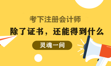 考下CPA除了能帶來(lái)一張紙 還有什么？