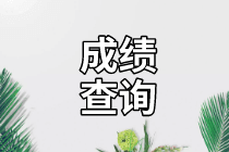 南京2020年資產(chǎn)評估師考試成績查詢開始了！