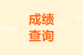 2020年西藏山南市中級(jí)成績(jī)查詢?nèi)肟陂_(kāi)通了嗎？