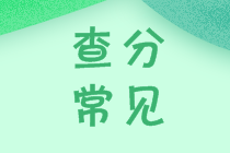 2020中級(jí)會(huì)計(jì)查分在即！你做好這些準(zhǔn)備了嘛？
