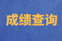 上海2020年資產(chǎn)評估師考試成績查詢流程確定了嗎？