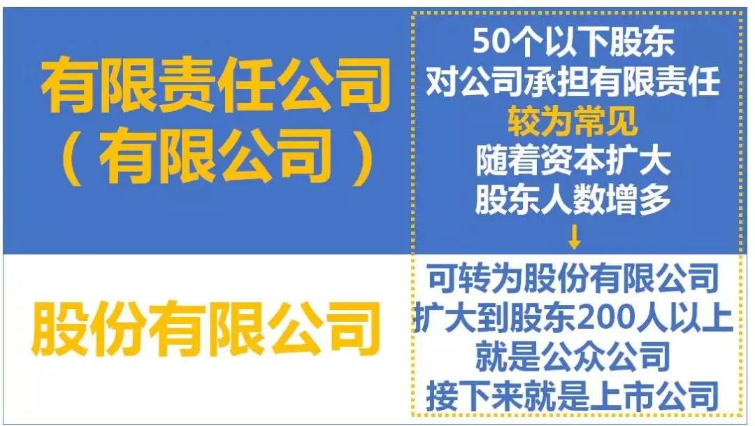 最全總結(jié)！公司、個體戶、分公司、子公司、有限公司有啥區(qū)別？