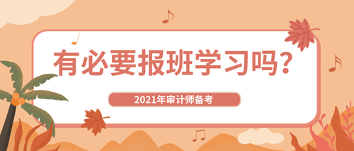 備考2021年審計(jì)師考試有必要報(bào)班嗎？自學(xué)行不行？