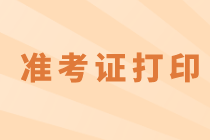 海南2021年資產評估師考試準考證打印入口是哪個？