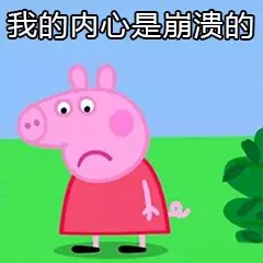 #注會(huì)成績(jī)出來(lái)了# 轉(zhuǎn)戰(zhàn)證券 再拿一證 實(shí)現(xiàn)雙豐收！