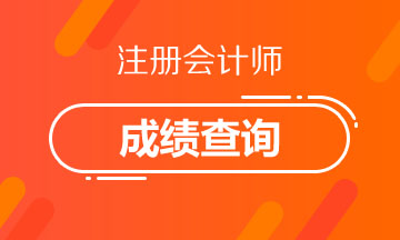 2020天津CPA成績查詢時間你要了解！