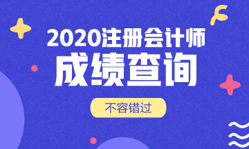 寧夏銀川2020年注冊(cè)會(huì)計(jì)師成績(jī)查詢時(shí)間確定了！