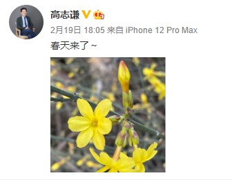 網(wǎng)校中級(jí)會(huì)計(jì)老師齊“報(bào)春” 花式催學(xué)你招架得住嗎？