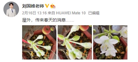 網(wǎng)校中級(jí)會(huì)計(jì)老師齊“報(bào)春” 花式催學(xué)你招架得住嗎？