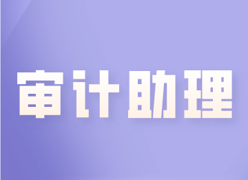 審計(jì)助理的崗位職責(zé)和工作要求，馬上了解