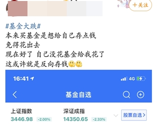 #基金大跌#買啥虧啥！今天的你“綠”了嗎？