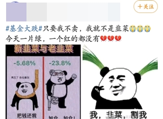 #基金大跌#買啥虧啥！今天的你“綠”了嗎？